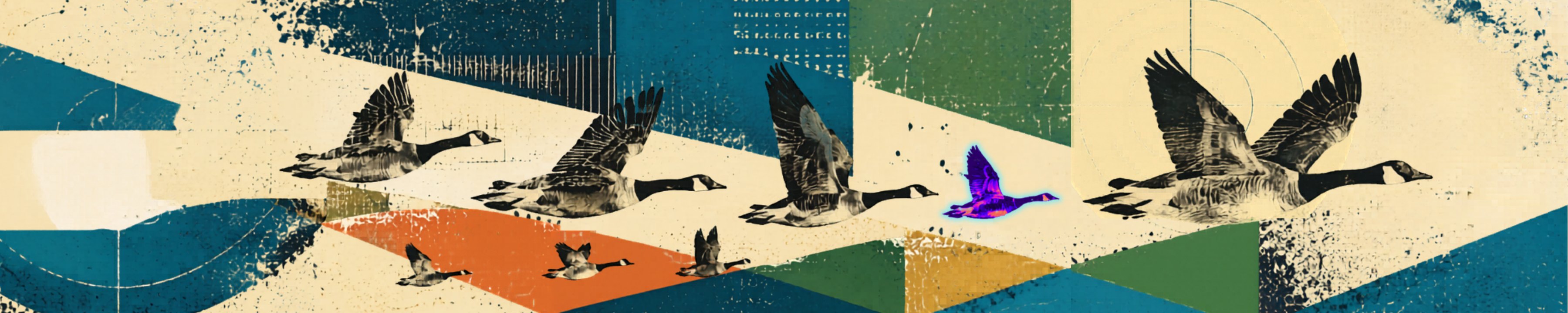 Canada geese in flight across a screen-printed landscape
